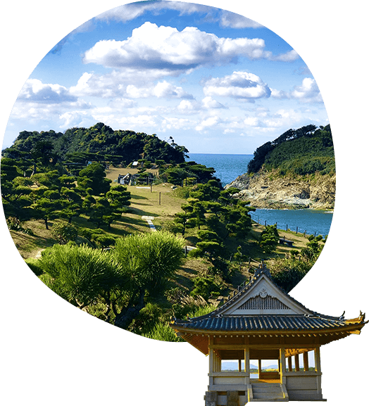 wakanoura photo