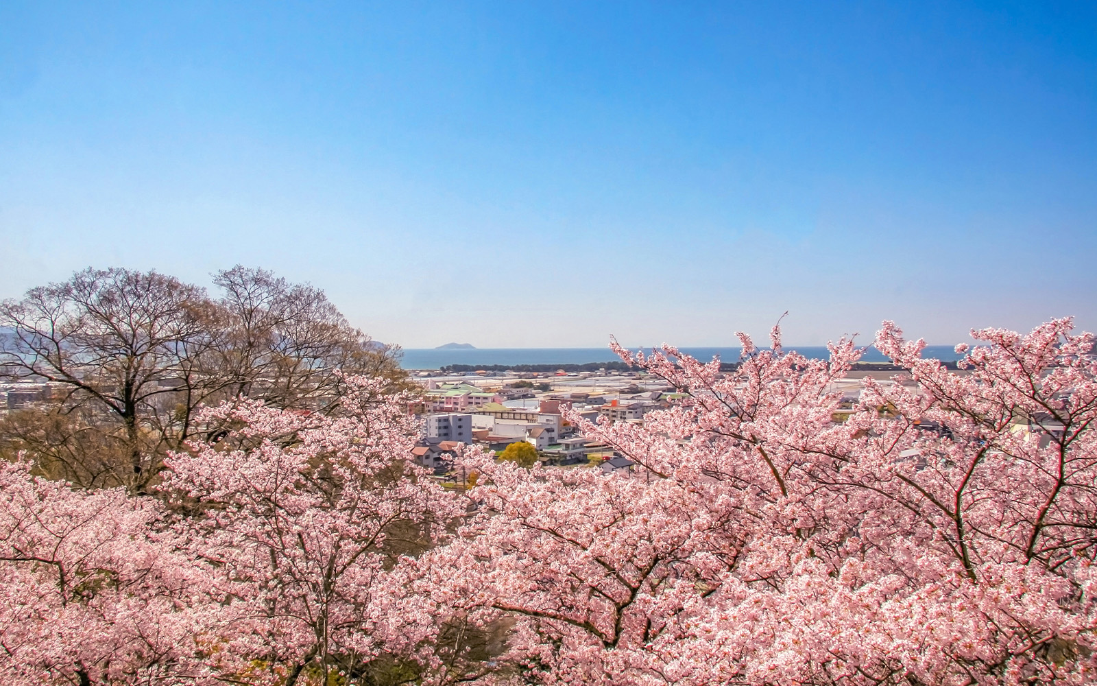 WAKANOURA Tourism Association