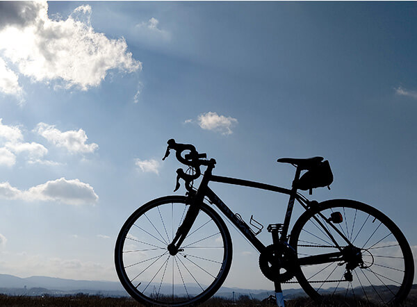 紀の川サイクリングロード